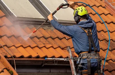 Démoussage et hydrofuge de toiture à Alluy